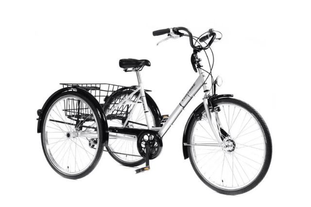 fietsen Tri-Bike en Van Raam